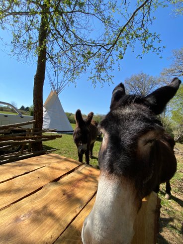 Hébergement AbracadaRoom : Tipi Lakota - Image 25