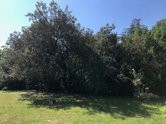 Hébergement AbracadaRoom : Mini maison passive - Image 15