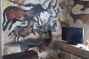 Homosapiens à Saint-Geniès (3)