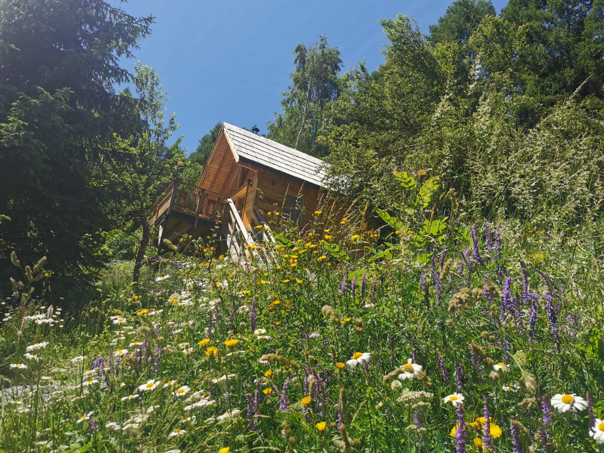 Cabane "Le Jas du chamois"