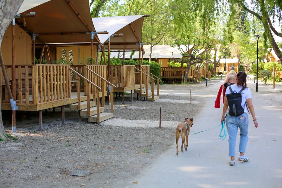 Hébergement AbracadaRoom : Lodge safari 5 personnes 20 m² - Image 1