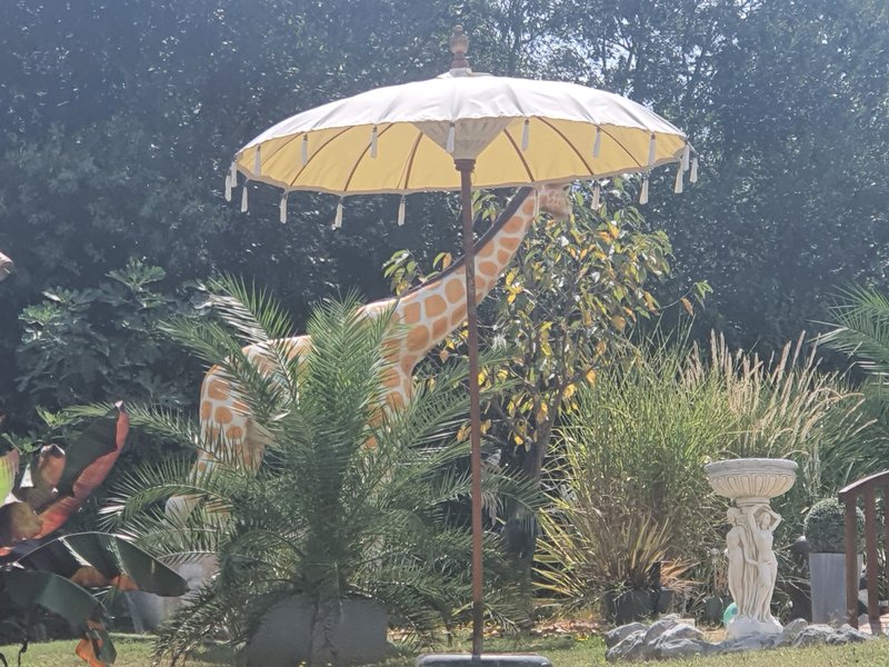 Domaine AbracadaRoom : Bali'Bulle - Image 6