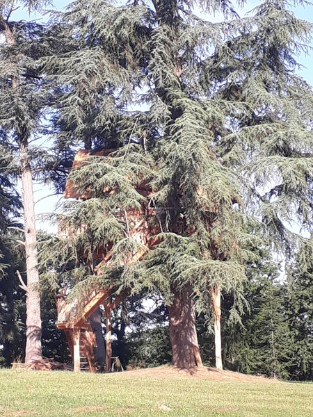 Domaine AbracadaRoom : Relais du Haget - Image 5