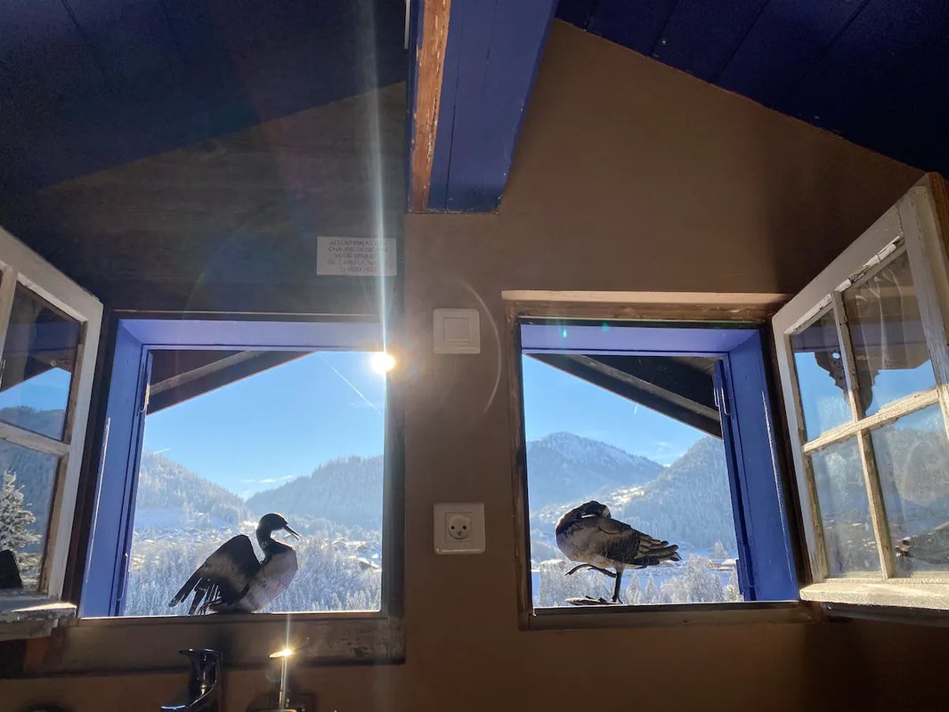 Le Petit Nid d'Amour à Montriond (12)