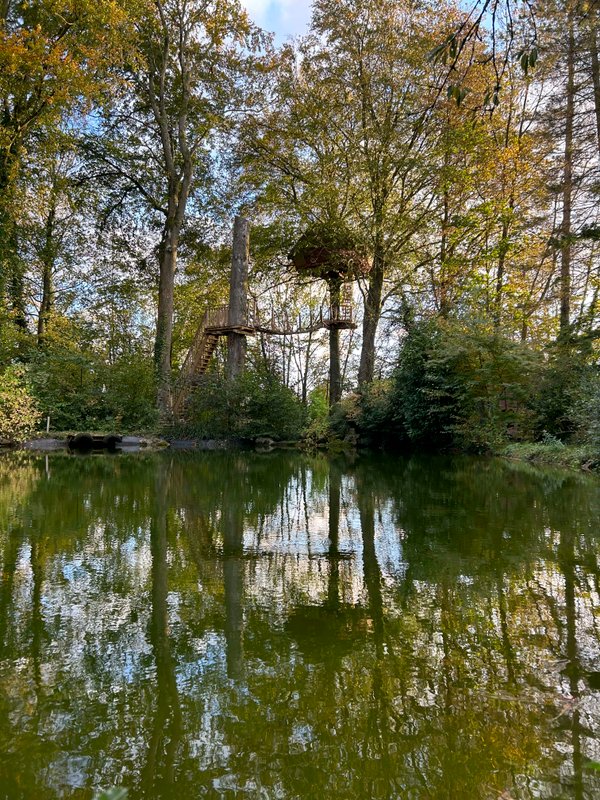 La cabane Haut-Perchée & Spa à Wail (20)
