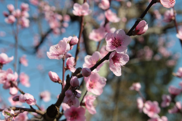 Domaine AbracadaRoom : Ô Saveur de l'instant - Image 5