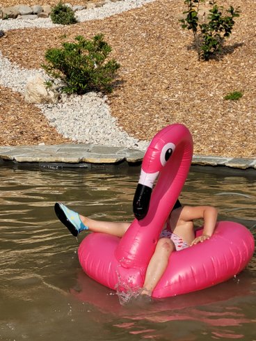 Hébergement AbracadaRoom : La Tiny House des Chevaux - Image 10