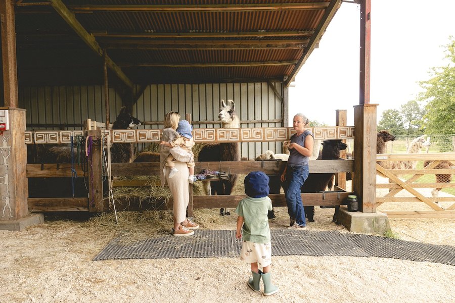 Domaine AbracadaRoom : Parcel Tiny House - à 5 min du Zoo de Beauval - Image 22