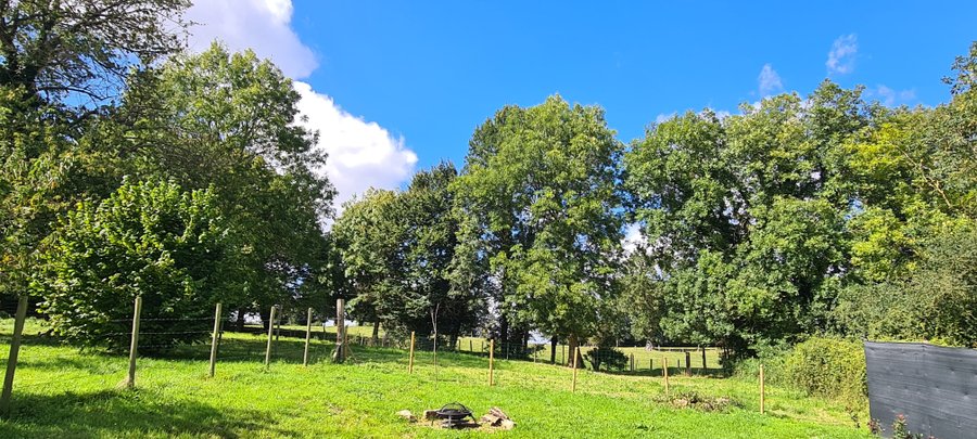 Domaine AbracadaRoom : Ressource d'Âme - Image 5