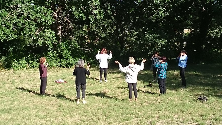 Domaine AbracadaRoom : Chaumière des Elfes et son escape game - Mas Fabrègue - Image 25