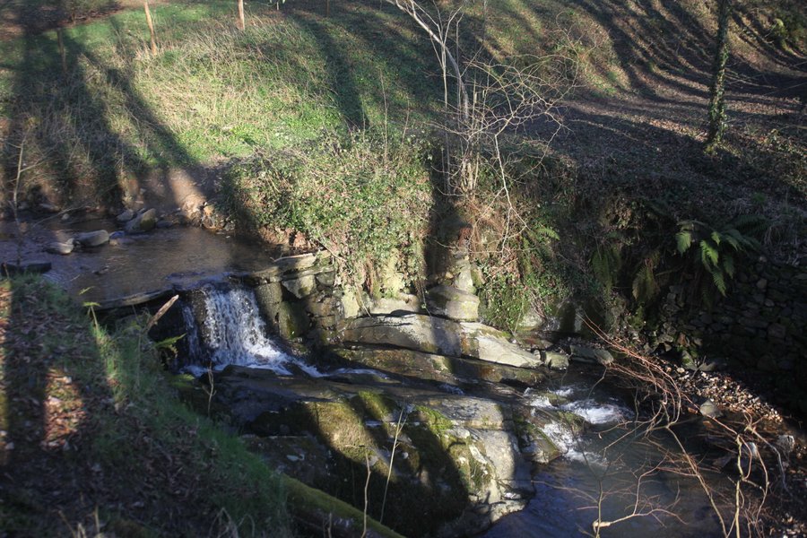 Domaine AbracadaRoom : Les cabanes, autour du tilleul - Image 7