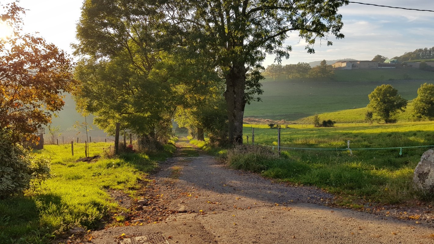 La Tour du Canet & Spa à Longessaigne (15)