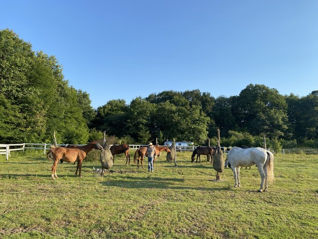 Domaine AbracadaRoom : Red barn - Image 2