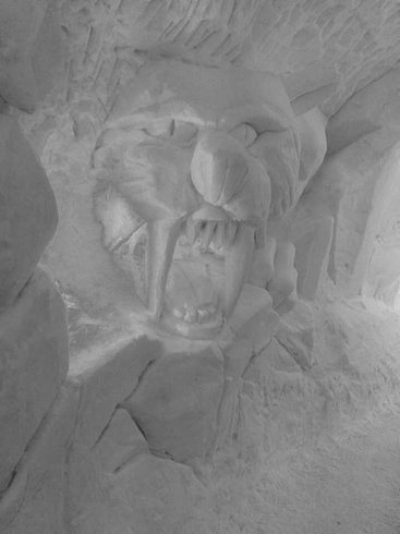 Domaine AbracadaRoom : Blacksheep Village Igloo - Image 19