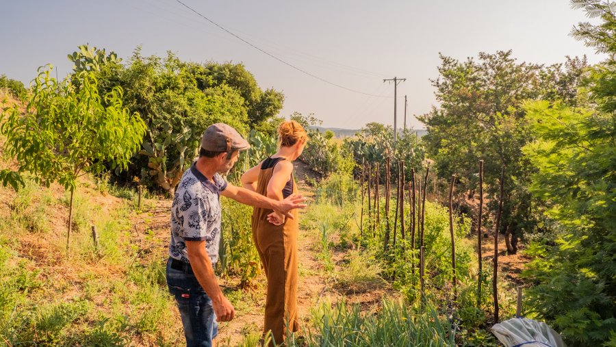 Domaine AbracadaRoom : Homnest (Céret) - Image 42