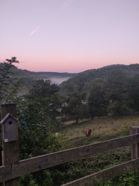 Hébergement AbracadaRoom : Cabane Tilleul - Image 6