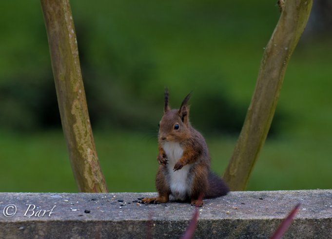 Domaine AbracadaRoom : Le Clos de Cyrano - Image 6