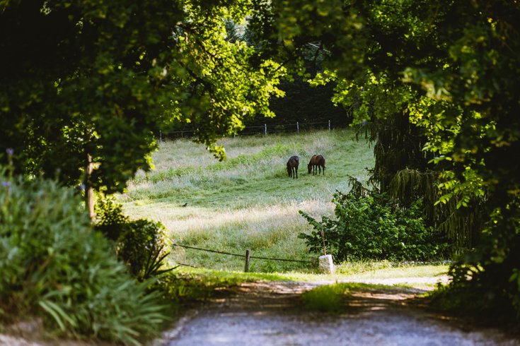 Domaine AbracadaRoom : La Closerie du Biard - Image 17