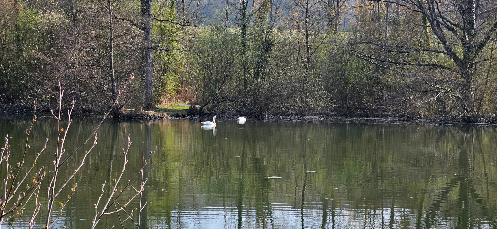 Chalet bord de l’eau · Proche provins · détente à Soisy Bouy (24)