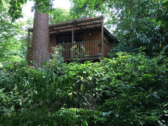 Hébergement AbracadaRoom : Cabane du Manoir du Parc & Spa privatif - Image 10