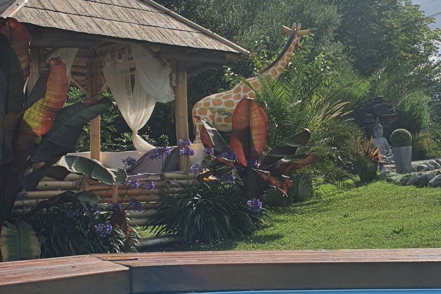 BALI BULLE — photo 2