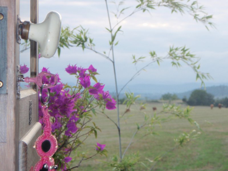 Domaine AbracadaRoom : Une Roulotte à la Campagne - Image 5