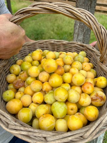 Domaine AbracadaRoom : K-hutes - Image 10
