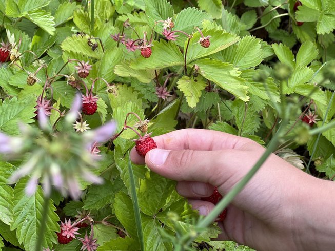 Domaine AbracadaRoom : Ô Saveur de l'instant - Image 7