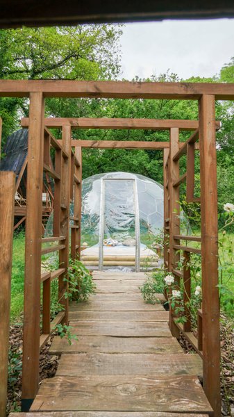 Hébergement AbracadaRoom : Bulle transparente - Royaume des arômes - Image 14