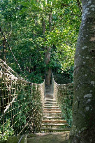 Hébergement AbracadaRoom : Cabane Grand Duc - Image 3