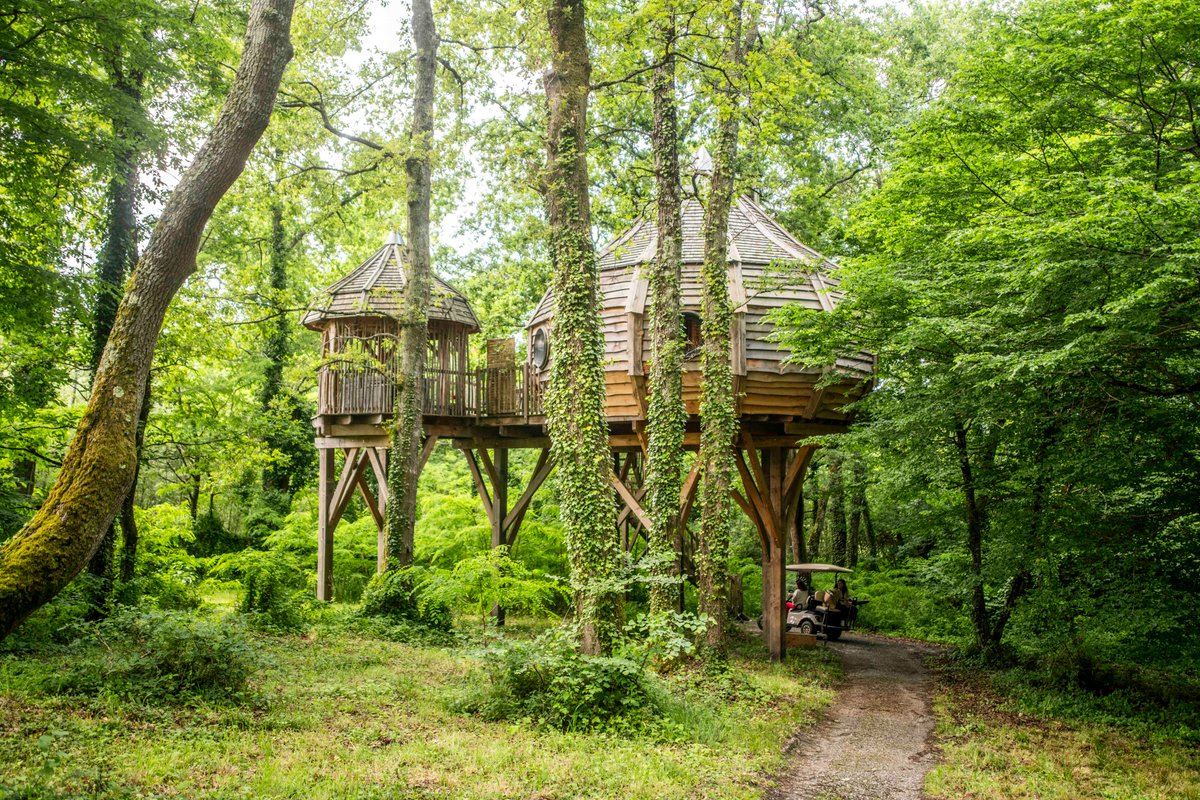 La Cabane la Vigne & Spa à Martillac (2)