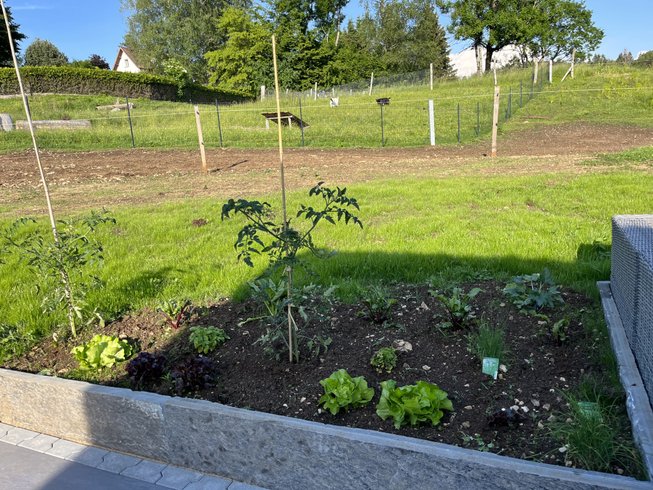 Hébergement AbracadaRoom : Tiny house Athena & Spa - Image 23