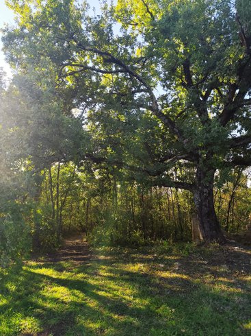 Hébergement AbracadaRoom : Cocon de verre avec Bain Nordique - Image 25