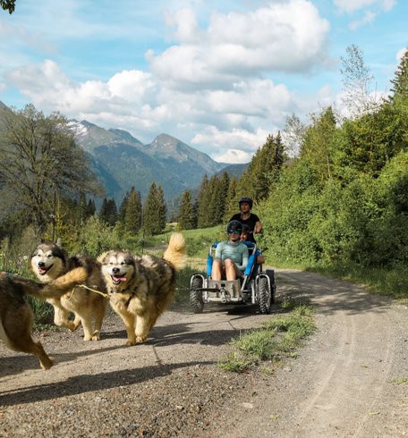 Hébergement AbracadaRoom : La Mine de Buck & Spa - Image 12