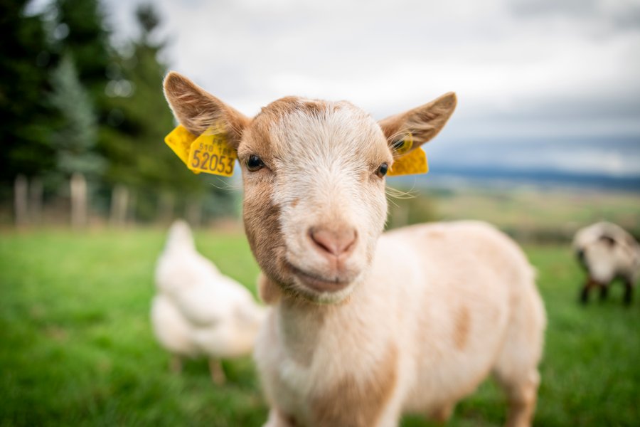 Domaine AbracadaRoom : Domaine des Étoiles - Image 12