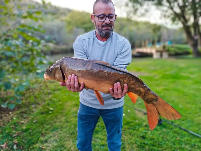 Hébergement AbracadaRoom : La Cabane du Héron, lodge sur pilotis, étang, nature, biodiversité - Image 16