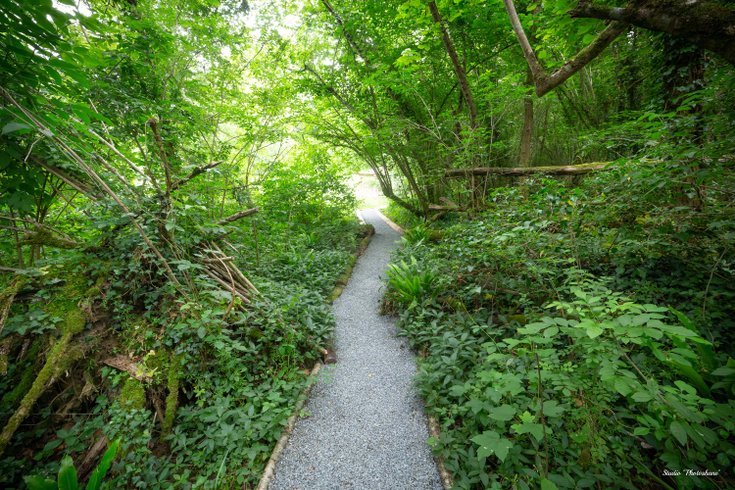 Hébergement AbracadaRoom : Géode Chêne Emeraude - Image 11