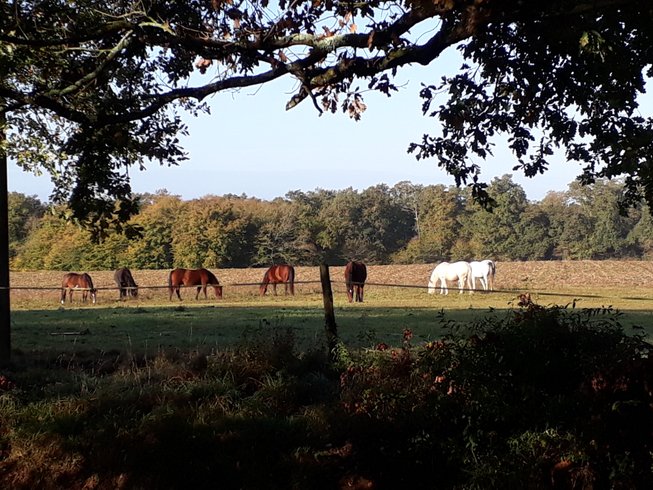 Domaine AbracadaRoom : Relais du Haget - Image 1