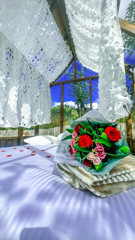 Chalet en verre sous une pluie d’étoiles à Lantosque (62)