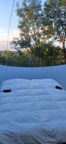 Domaine AbracadaRoom : Les Bulles du  Coq de Champagne - Image 12