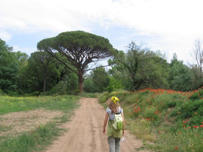 Domaine AbracadaRoom : Les Ecuries du Soleil - Image 5