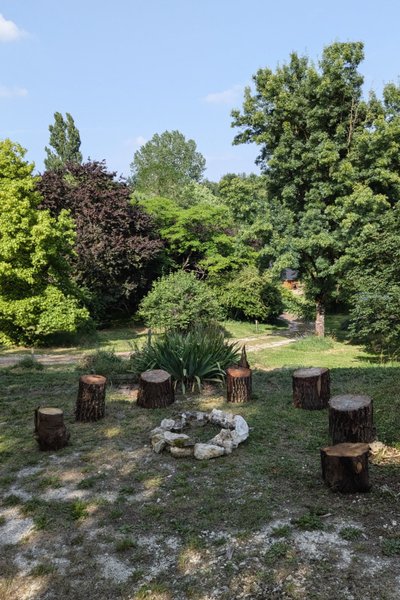 Domaine AbracadaRoom : Graines de nature - Image 10