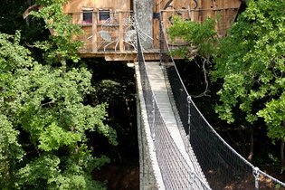 Cabane dans les arbres Vienne