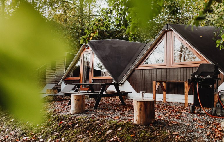 Domaine AbracadaRoom : In The Woods - Image 1