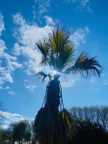 Domaine AbracadaRoom : Jardin Zen du Quistillic - Image 15