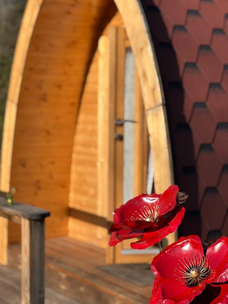 Hébergement AbracadaRoom : PoppyPod - Image 3