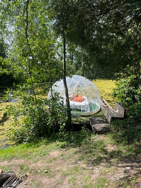 Hébergement AbracadaRoom : La tête dans les étoiles - Image 25