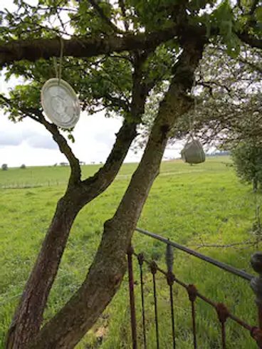 Domaine AbracadaRoom : Roulotte du Jura Vert - Image 3