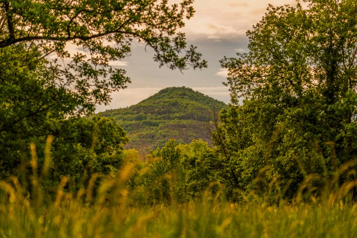 Hébergement AbracadaRoom : Le Bois aux Cheirilles – Sentiers du Mont-Dore - Image 42