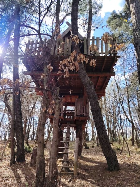 Hébergement AbracadaRoom : Cabane Nid d’Oiseaux - Un cocon perché qui danse avec le vent - Image 25